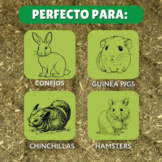 Timothy Snack Bowl Para Roedores Conejos Hamster Cobaya 200g