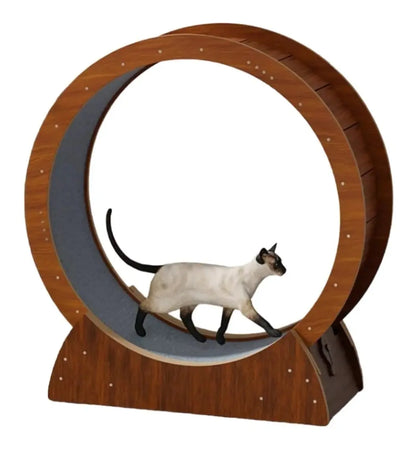 Rueda Grande Juguete Gatos Entrenamiento Ejercicio Mascotas