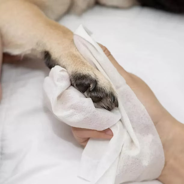 Toallitas húmedas - Para Cuidar A tus Peludos