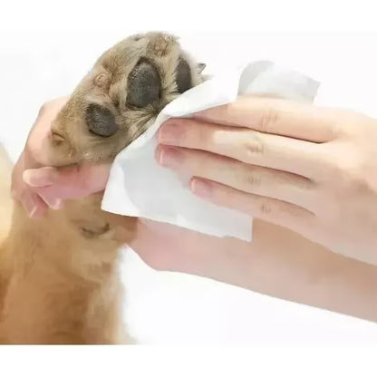 Toallitas húmedas - Para Cuidar A tus Peludos
